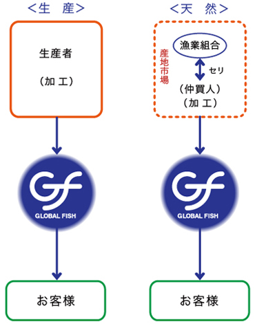 グローバルフィッシュの流通
